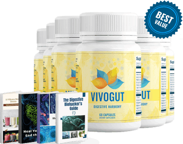 vivogut six bottles pricing